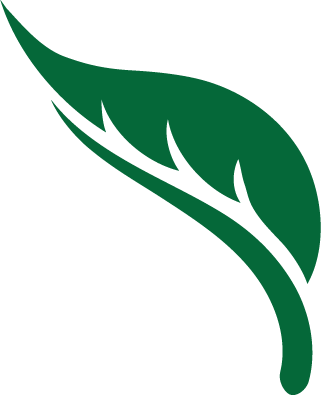 Leaf Green